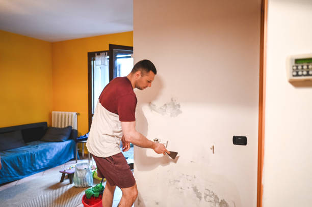 Best Emergency Mold Remediation in Mono Vista, CA